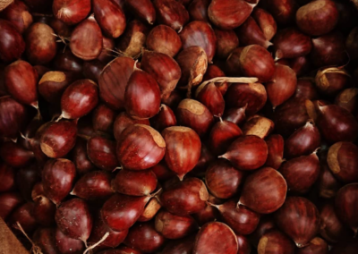 TOSTADURÍA HUÉRFANOS