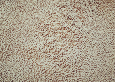 TOSTADURÍA HUÉRFANOS