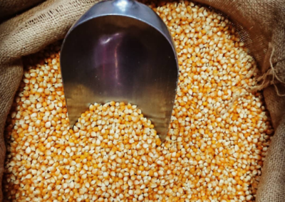 TOSTADURÍA HUÉRFANOS