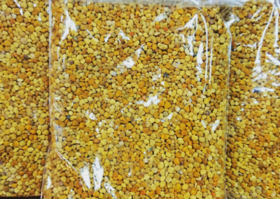 TOSTADURÍA HUÉRFANOS