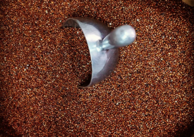 TOSTADURÍA HUÉRFANOS