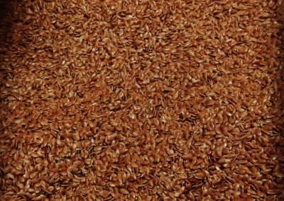 TOSTADURÍA HUÉRFANOS